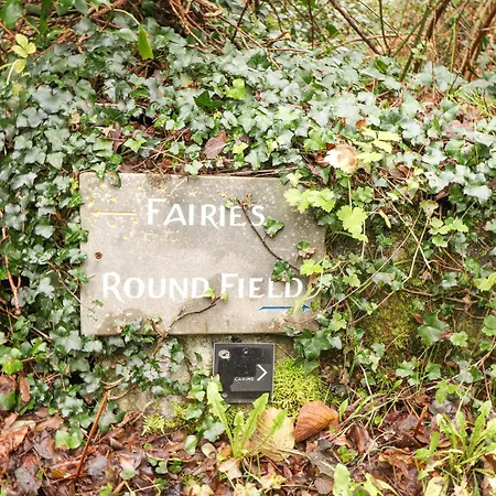 Broc * 金瓦拉